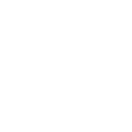 賞与有り