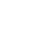 資格取得支援